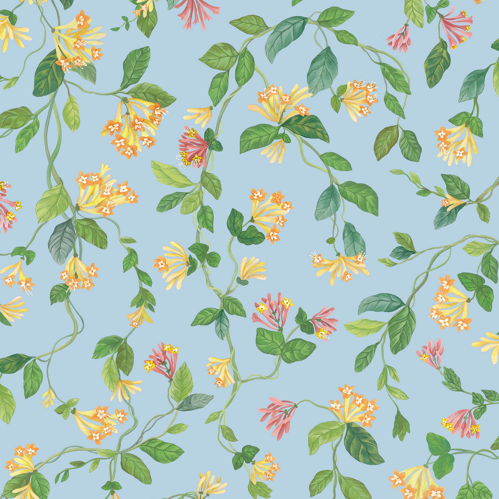 Flora Wallpaper 1243018 By Cole Son In Buttercup Yellow Cornflower Blue